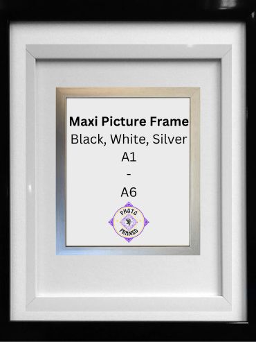 Maxi Picture Frame A1